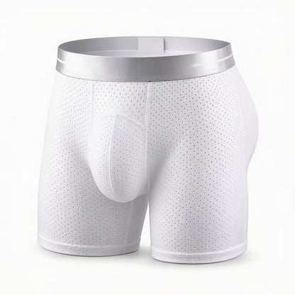 🏆45K+ SOLD 🔥2026 HOT SALE AirSorb™ Premium All-Day Comfort IceSilk Mesh Men's Boxer